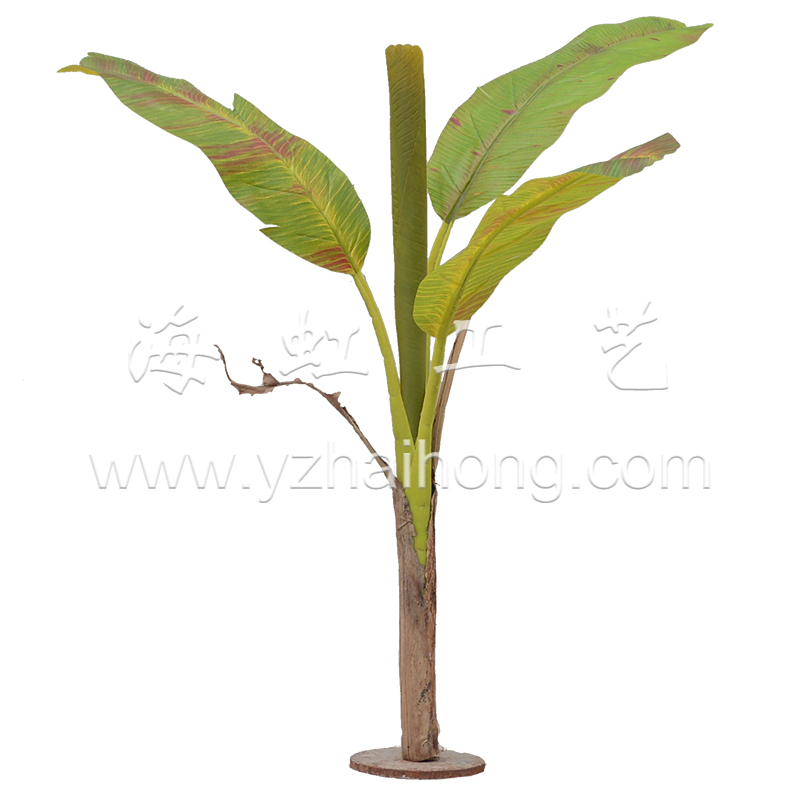 Color green Banana tree single dried (wood dried with genuine leather)